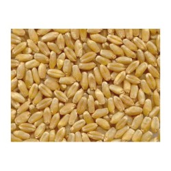 Mulino manuale Fabula