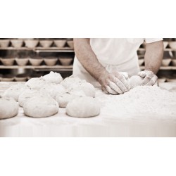 Mulino Professionale GM 1000