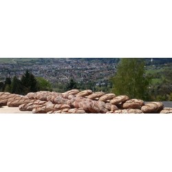 Mulino Professionale GM 1000