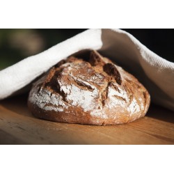 Mulino Professionale GM 300