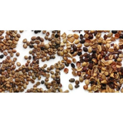 Pulitore per cereali  ALS -3 GEN-3 Con OSC-3