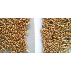 Pulitore per cereali ALS 5 GEN-3